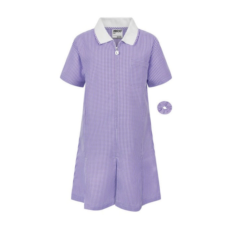Zeco Gingham Dress (Purple)