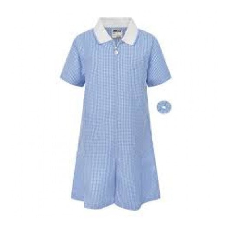 Zeco Gingham Dress (Sky)